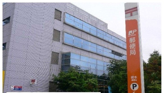 ホーリーコートの周辺|橋本郵便局まで280m