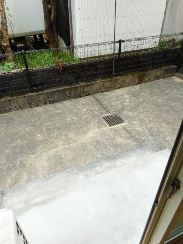 パインフォレスト　モーニングの庭