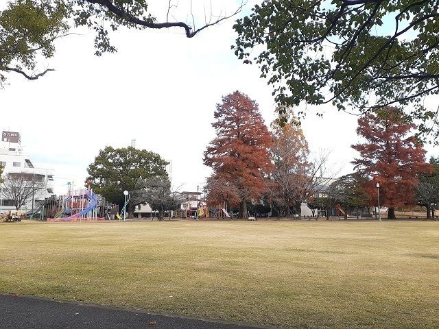 カーサ・ドマーニの周辺|神柱公園まで200m