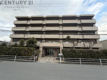 外観もきれいです