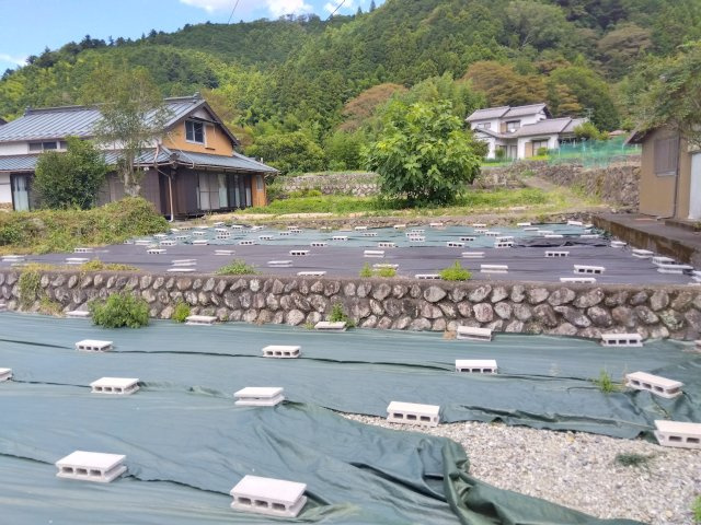 売土地　南巨摩郡南部町内船の外観|周囲は自然豊かでのびのびとした環境です。