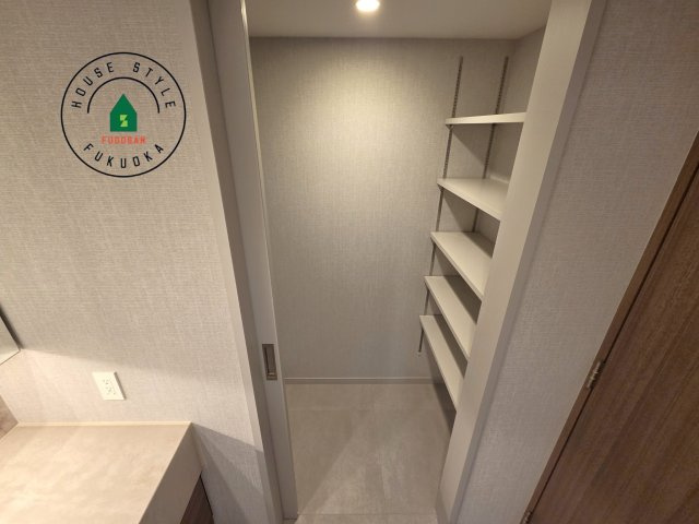 グランドメゾン福岡The Central Luxeの収納|洗面収納