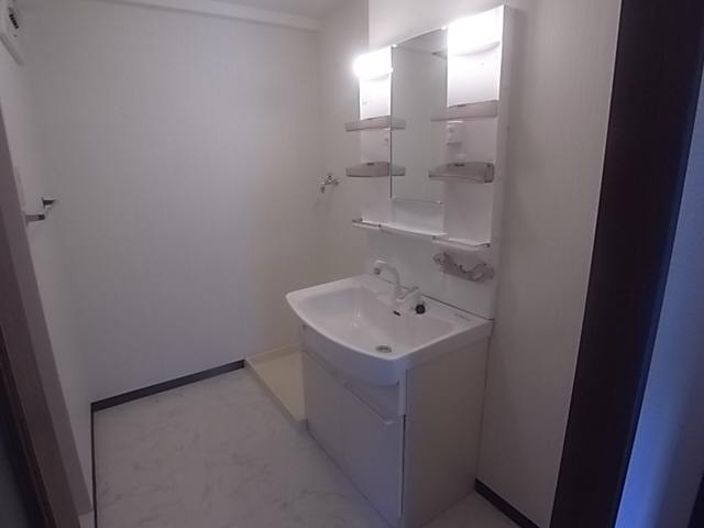 ＩＶＹ　ＨＥＩＧＨＴＳ(アイビーハイツ)の洗面所