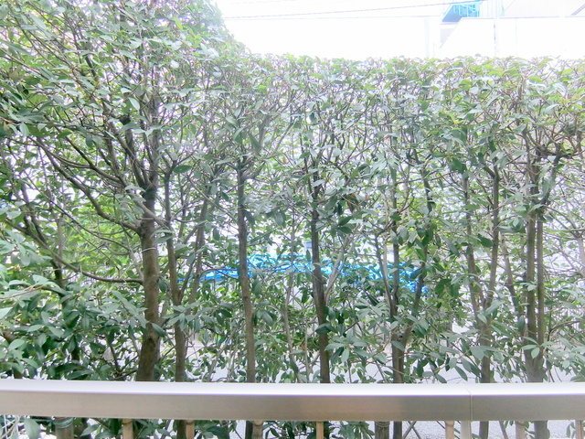 メゾン　ラミューズの展望|★１階ですが目隠しになっております。