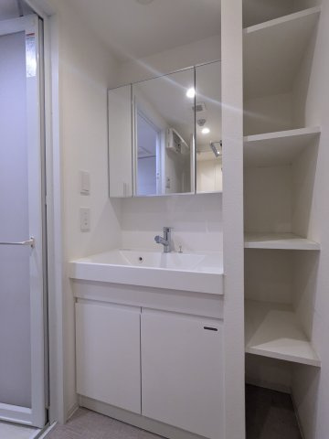 プラティーク大森山王の洗面所