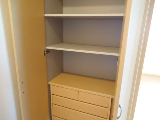 サールナートの収納|収納