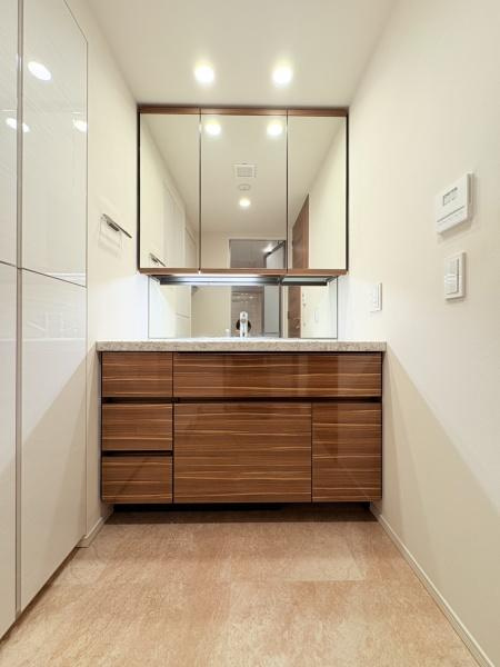 ドレッセWISEたまプラーザB棟の独立洗面台