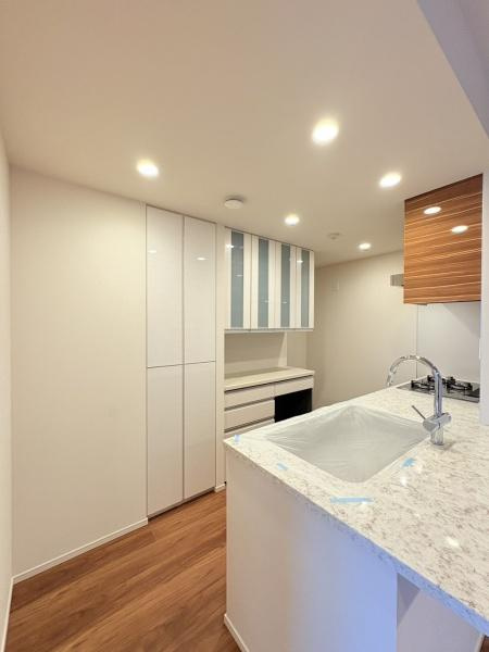 ドレッセWISEたまプラーザB棟のキッチン