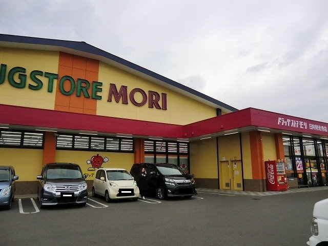 ニュー　グリーン　ハウスの周辺|ドラッグモリストア財光寺店まで850m