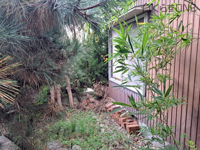 【庭】 | 姫路市奥山／中古戸建