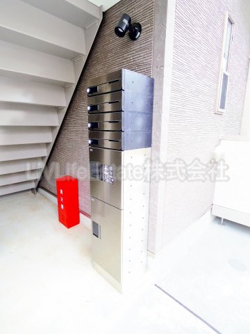 ドリームプラン・フミ