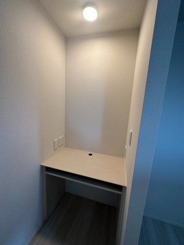 Gypsophilaのその他