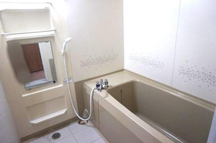 ヴィルヌーブ井原の浴室