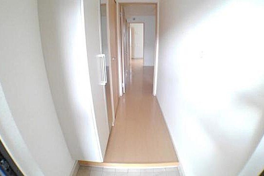 ブッドレア　ジョイン　Ⅱの玄関|シンプルで使いやすい玄関です