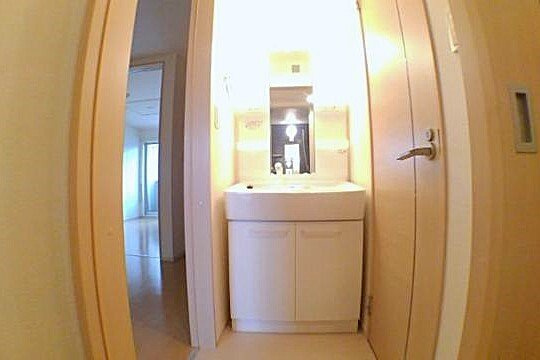 ブッドレア　ジョイン　Ⅱの洗面所|使いやすい洗面所です