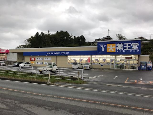 アリエッタの周辺|薬王堂高田米崎店まで952ｍ