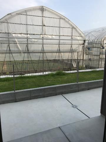 ＵＲＢＡＮ　ＳＱＵＡＲＥのその他|専用庭