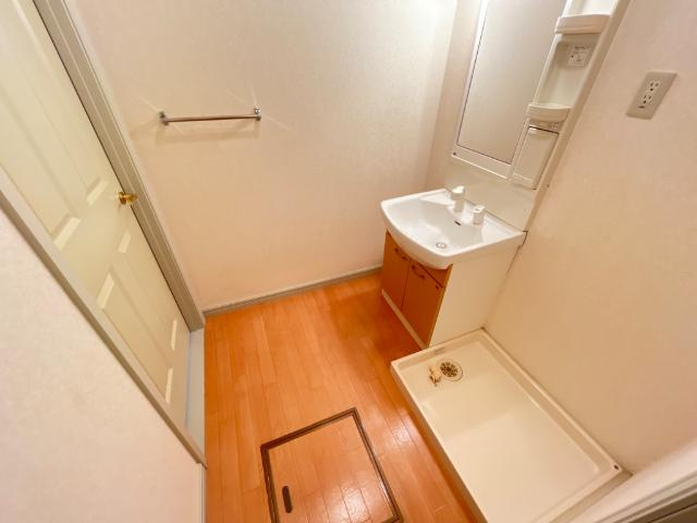 リヴィエールピアのその他|脱衣所