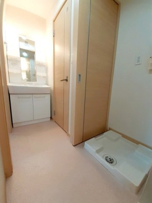 【洗面所】 | ネオロイヤルＢ | スペースが確保できる洗面所です