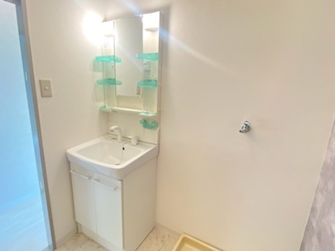 パレス高司の洗面所