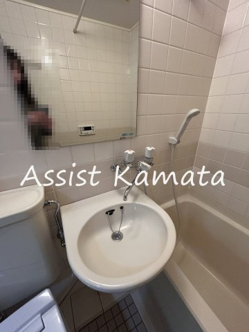 ガレ田園調布の洗面所