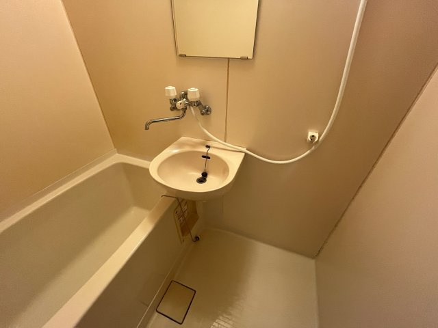 メゾン山本の洗面所