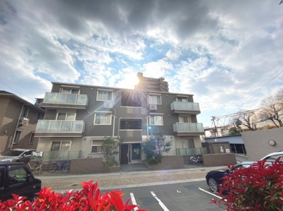 【展望】 | Stella