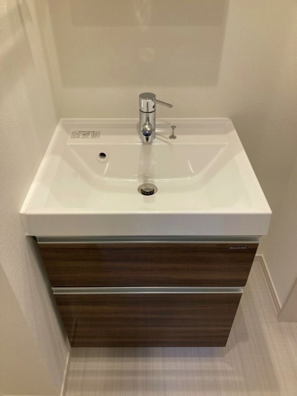 グレイス八潮の洗面所