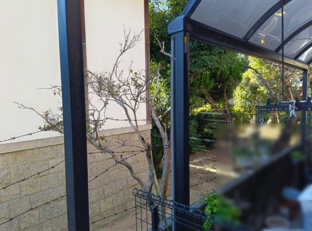 常吉1丁目戸建のその他|1階バルコニーから南西方面