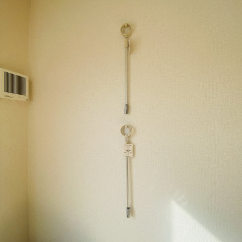 ヴィーヴルのその他