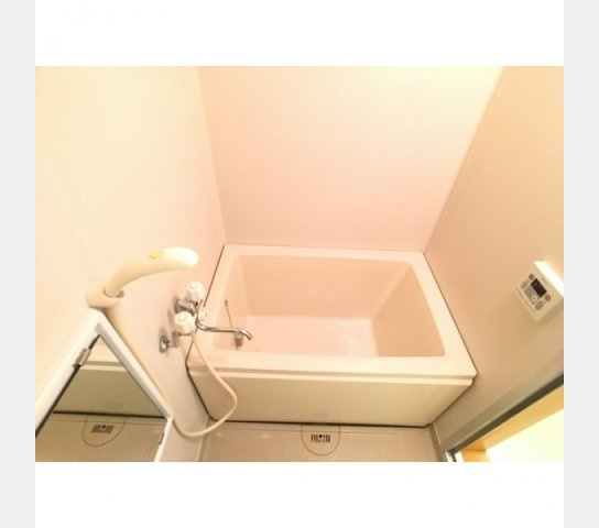 グレースカメリア市が尾の浴室