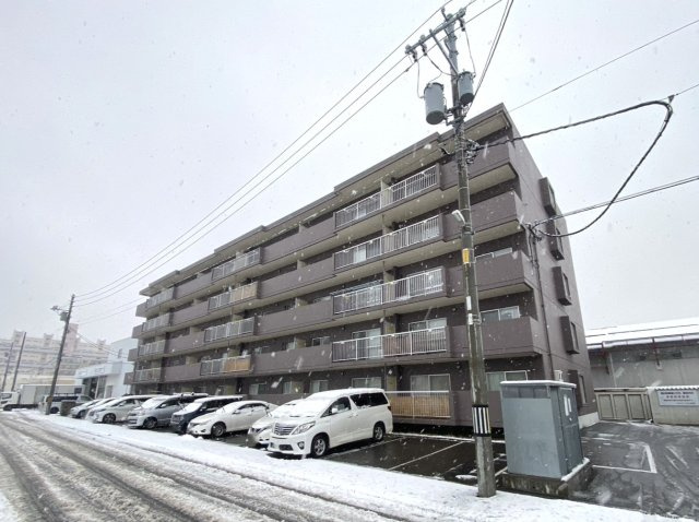 エメラルドグリーン白石中央