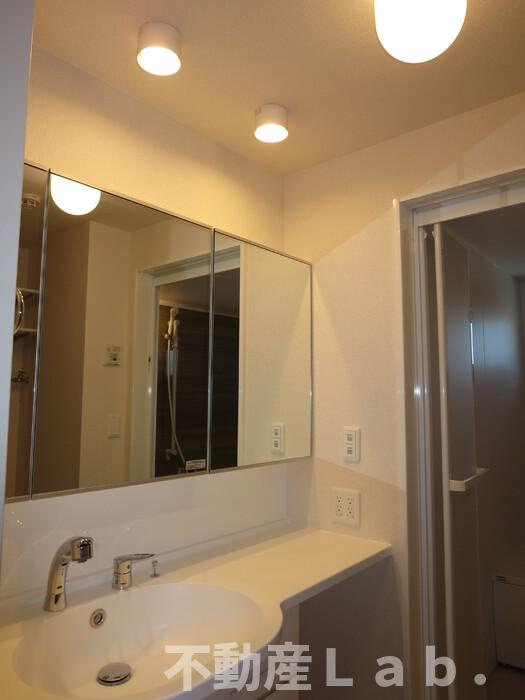 セジュール　リバーグリーンの洗面所