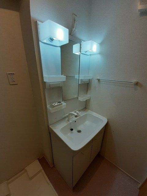 リホープの洗面所