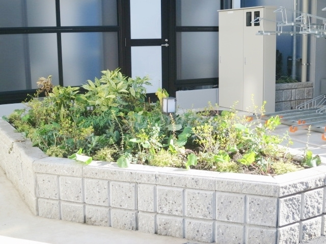 Ｌａ　Ｄｏｕｃｅｕｒ赤羽のその他|緑があって癒されますね☆