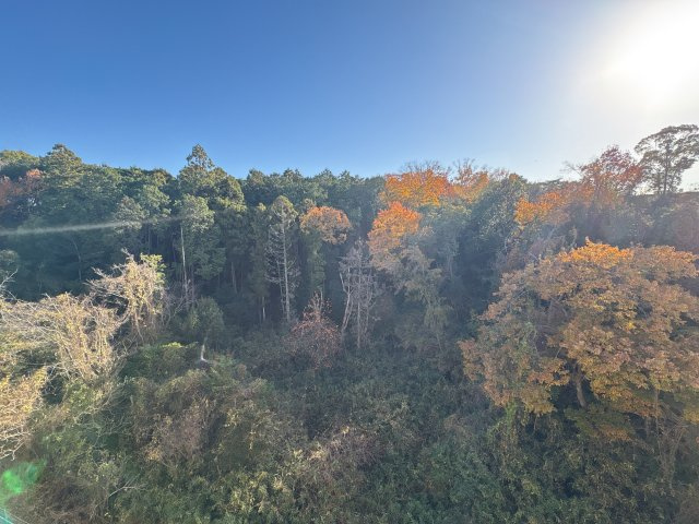 エクセルハイツ第2学園前の展望