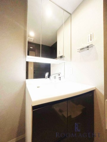 プレサンスロジェ車道駅前ＮＯＲＴＨの洗面所