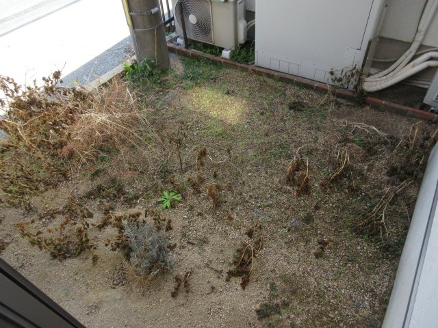 ブリッジビューの庭