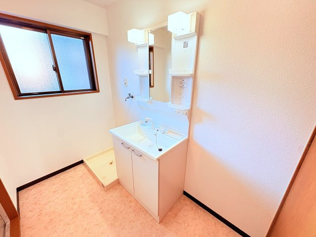 クイーン・ビーマンションの独立洗面台