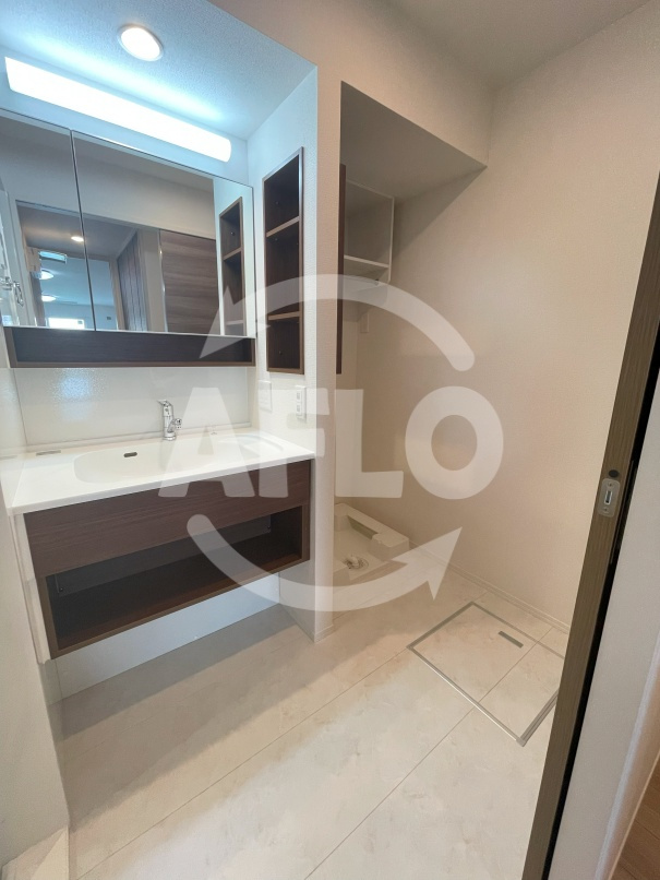 Raccolt阪南町（ラコルト阪南町）　阪南小学校区の洗面所|Raccolt阪南町（ラコルト阪南町）洗面所