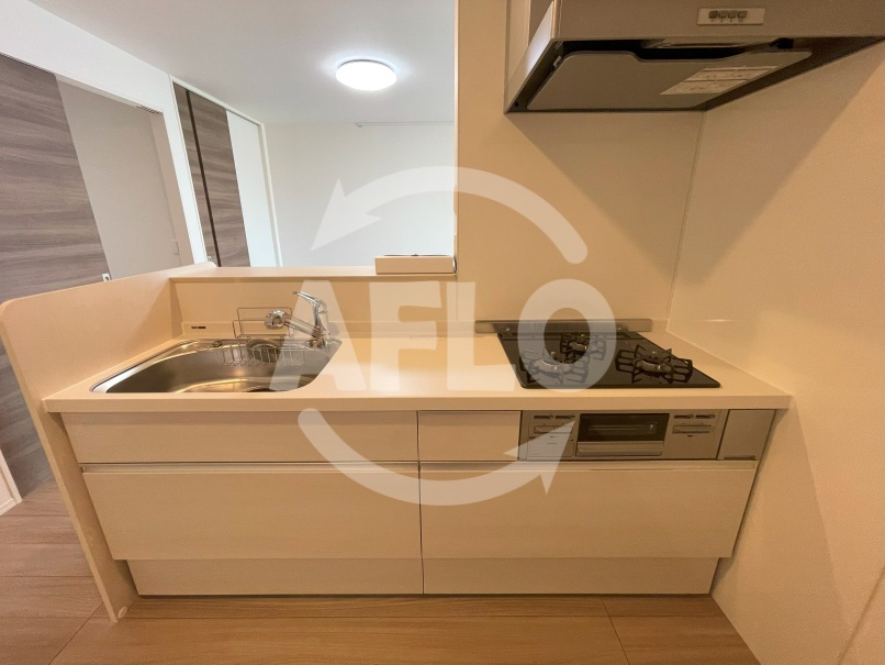 Raccolt阪南町（ラコルト阪南町）　阪南小学校区のキッチン|Raccolt阪南町（ラコルト阪南町）キッチン