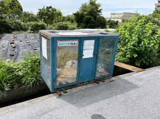 【その他】 | サープラス壱番館