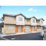 グレイスMの画像