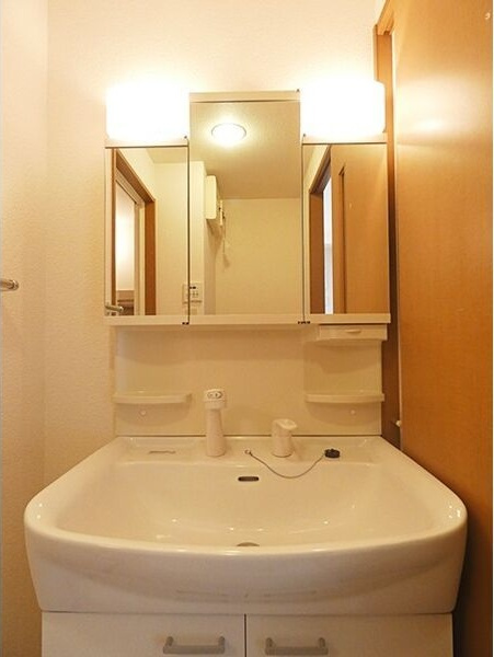 レージュ桜山の洗面所