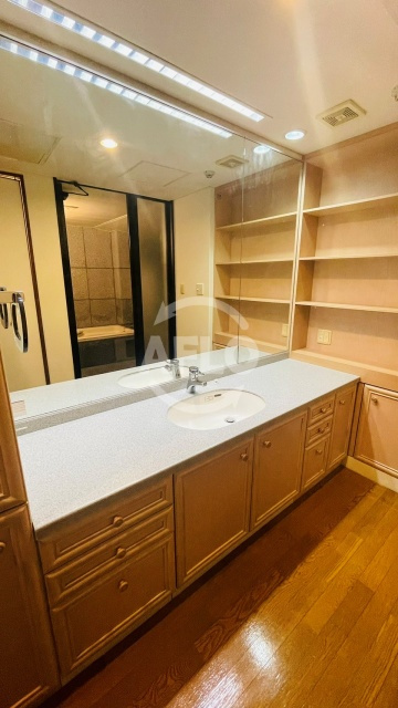 パレス帝塚山(晴明丘南小学校区)の洗面所|パレス帝塚山　独立洗面台