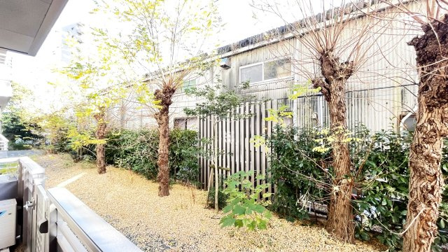 ＢＥＲＥＯ．ＫＡＷＡＮＯの展望