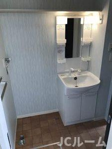 シャーメゾン高田 Dの洗面所