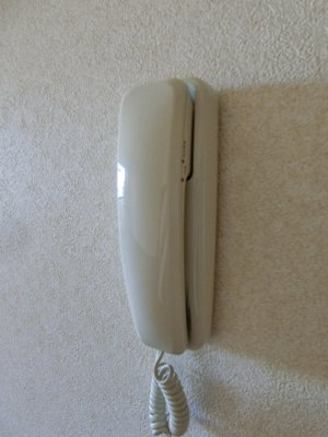 【セキュリティ】 | パール久米田