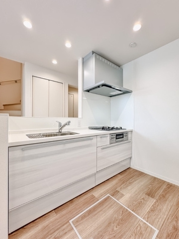 美園ミノリエのキッチン