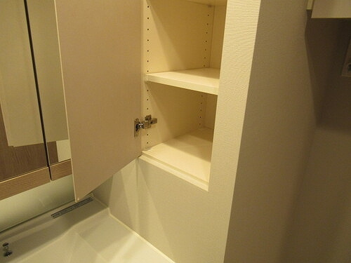 プラウドシティ武蔵浦和ステーションアリーナの洗面所|洗面所収納